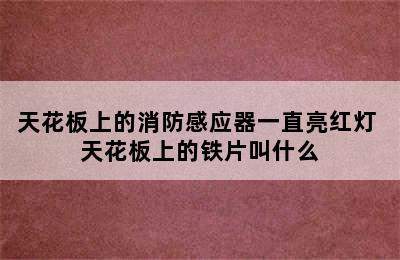 天花板上的消防感应器一直亮红灯 天花板上的铁片叫什么